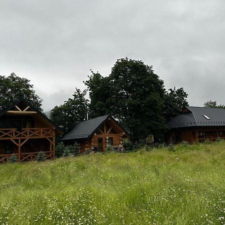 Chalet Pidstromom Mykulychyn Buitenkant foto