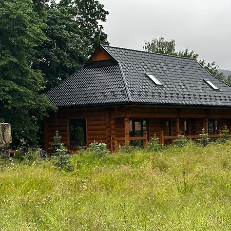 Chalet Pidstromom Villa Mykulychyn Buitenkant foto