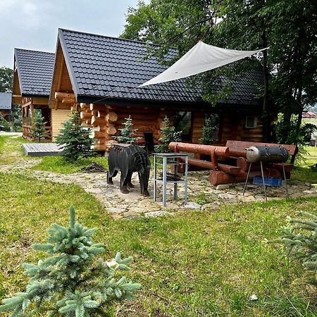 Chalet Pidstromom Villa Mykulychyn Buitenkant foto