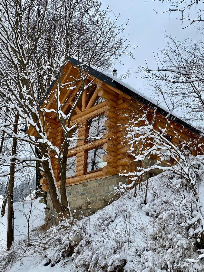 Chalet Pidstromom Villa Mykulychyn Buitenkant foto