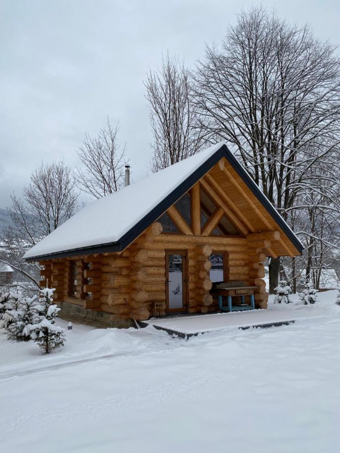 Chalet Pidstromom Mykulychyn Buitenkant foto