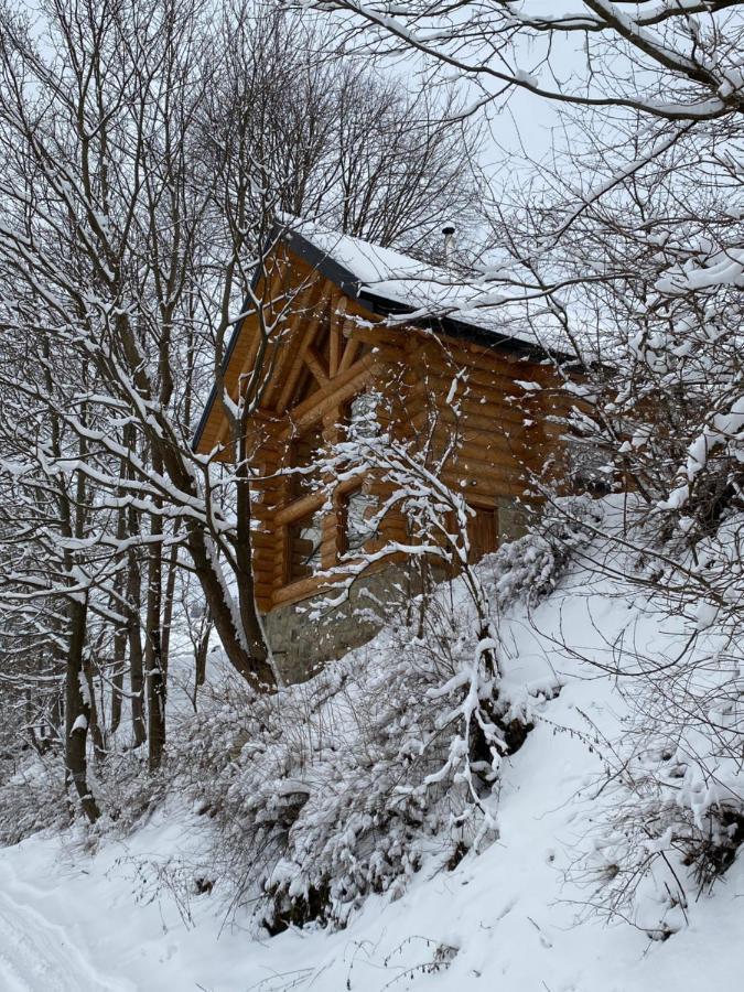 Chalet Pidstromom Mykulychyn Buitenkant foto