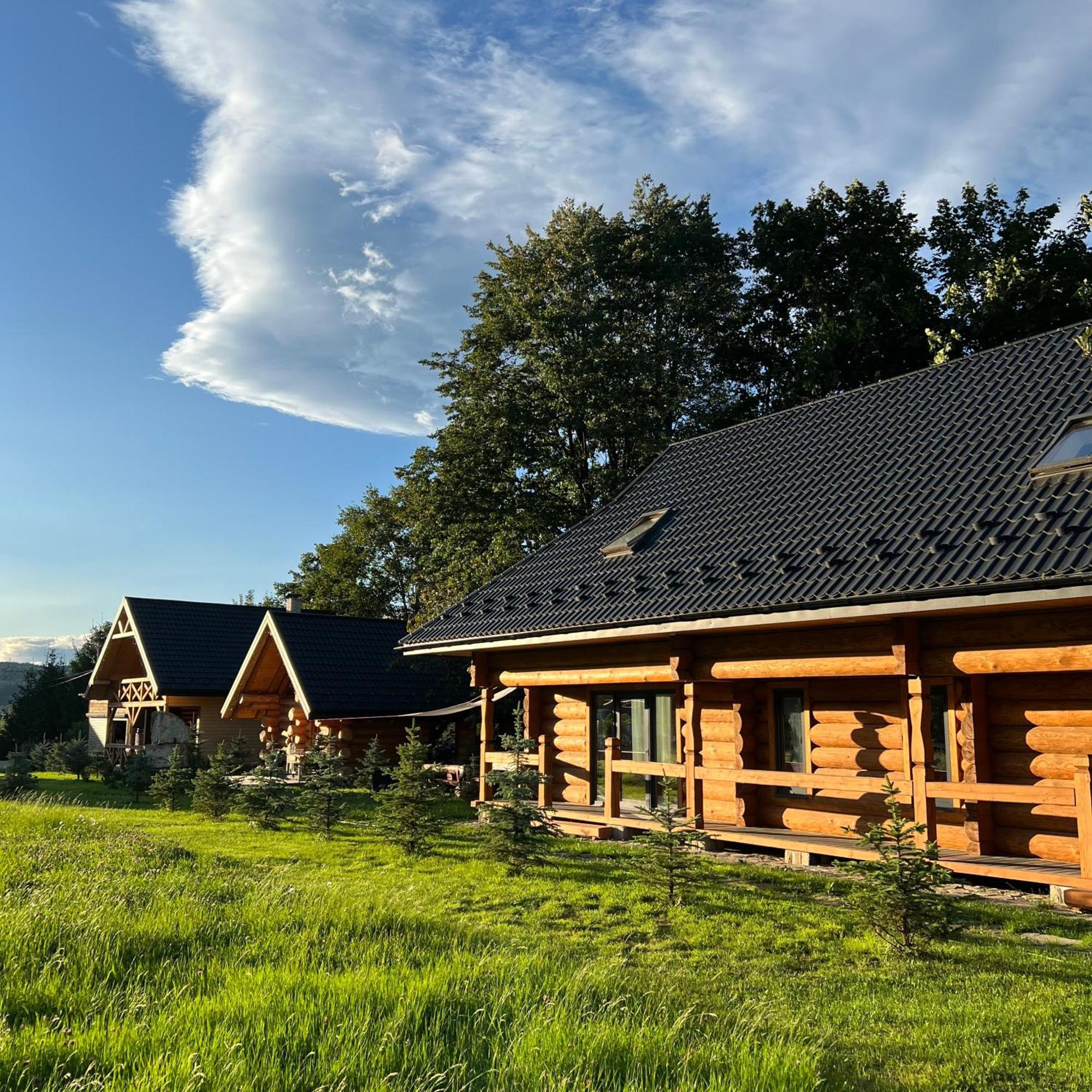 Chalet Pidstromom Mykulychyn Buitenkant foto